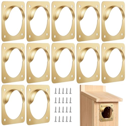 Hotop 12 Pcs 1 1/2 Inch Opening Bluebird Metal House Hole Guard with Rain Baffle Portal Bird House Protect Bird Room Guard Copper Portal with Opening for Eastern Bluebird Rooms Sparrow Houses(Gold) - color: Gold, size: 1 1/2 Inch, style: Opening with Rain