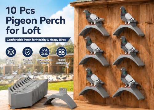 10-Pack Plastic Dove Rest Stand, Race Pigeon Dwell Perch Roost Holder with Screws (Grey, 10-Pack Stand Bundle) - color: Grey