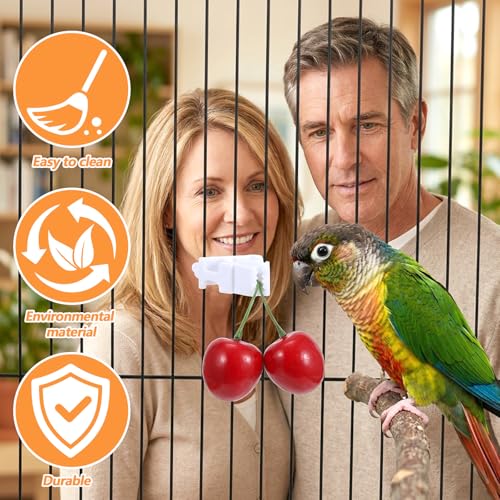 6Pcs Bird Cage Food Holder, Millet Holder for Birds Cages, Parrot Fruit Vegetable Clips Bird Cage Feeder Clip for Budgie Parakeet Cockatoo Macaw Cockatiel Conure
