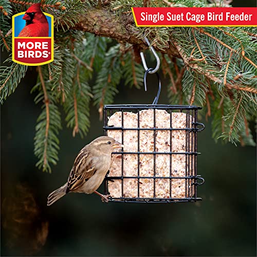 More Birds Suet Cage Bird Feeder, Fruit and Suet Feeder, Single Cake Capacity,Black (Pack of 6) - color: Black, size: Single Cake (Pack of 6), style: Suet Cage