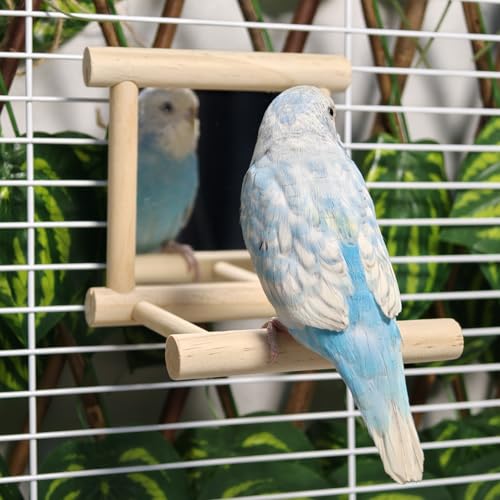 2Pcs Bird Mirror Parakeet Mirror Perch Stand Wooden Swing Mirror Toy Cage Accessories for Parrots Budgies Parakeets Cockatiels Lovebirds Finches - size: 2 Pcs