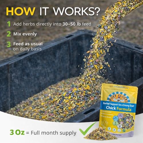 Buff Clucks Herbal Chicken Supplements Natural Poultry Herbs for Baby Chick | Plant Based Herbs Improves Chick Immunity Chicken Food for Egg Production Healthy Coop Snack Treats for Chick Reduce Stress - size: 3 Ounce (Pack of 1)