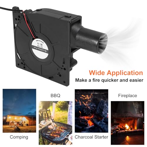 2Set 120mm BBQ Fan 12V Blower Brushless with 110V/120V Variable Speed Controller Fan 4.72in Air Mover Cooling for Camping Quick Charcoal Starter,Outdoor Barbecues,Camping Cooking (2 Fan+2 Controller) - size: 12032-2pcs