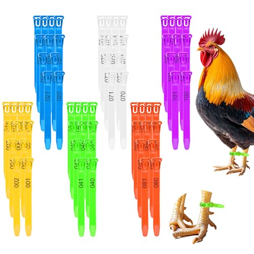 120Pcs Leg Bands for Chickens, Numbered Chicken Leg Bands 1-120 | 6colors(20 Each),Numbered 1-120.Pp Plastic,Self-Locking,Fluorescent.For Poultry Tracking,Chickens