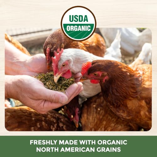 New Country Organics | Corn-Free Classic Layer Chicken Feed for Laying Hens | Corn-Free and Soy-Free | 17% Protein | Certified Organic and Non-GMO Chicken Food | 50lbs Bag - size: 50 Pound (Pack of 1)