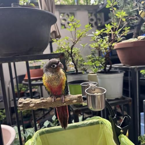 Bird Perch Stand with Clip and Food Bowl for Trash Can, Adjustable & Portable Parrot Stand, Bendable Bird Training Perch for Cockatiels, Conures, Lovebirds and Medium & Small Parrots