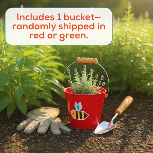 Toysmith Kids Gardening & Beach Bucket – 5″ Metal Pail with Grippable Handle | Assorted Bee & Beetle Colors | Durable Steel for Outdoor Play - 1 Count - style: Kids Bucket