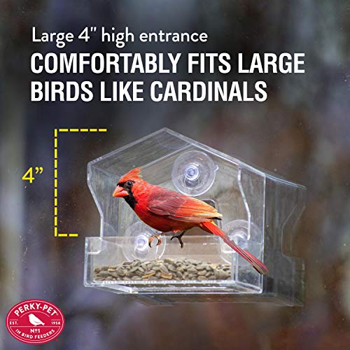 Perky-Pet Clear Outdoor Window Bird Feeder with Strong Suction Cups – 1/2 Lb Seed Capacity - Perky Pet 345 - Entertaining Bird Feeding - Watch Birds Eat Seeds - size: .5 LB Capacity