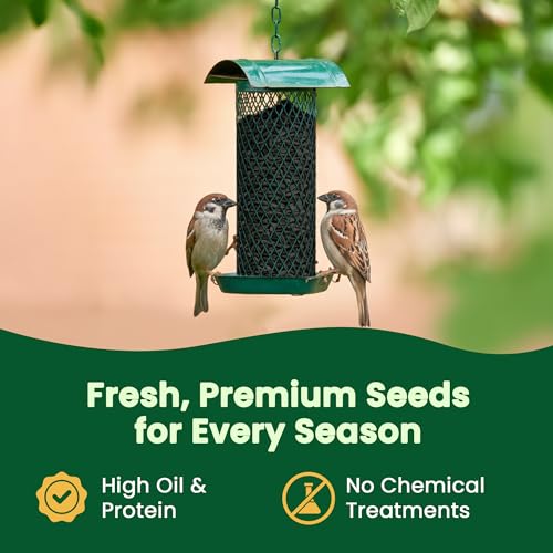 Happy Wings 15 LB Black Oil Sunflower Seeds Bird Food, No Waste Bird Seed - size: 15 Pound (Pack of 1)