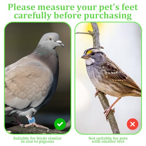 100 Pcs 8mm Birds Leg Rings, Pigeons Identification Leg Rings | Colorful Readable Numbered Pigeons Quail Chick Leg Bands Clip on Leg Rings for Baby Chick Bantam Finch Dove Small Birds