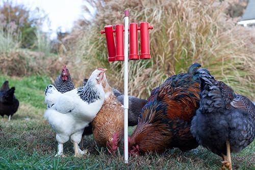 RentACoop Large Chicken Treat Dispenser 2025 Version - size: Large Red Tubes