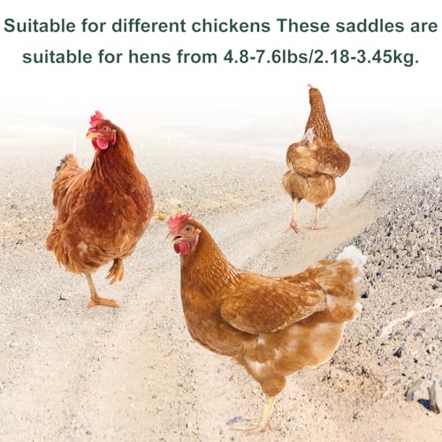 Gosknor 3pcs Chicken Saddle for Hens, Comfortable Hen Aprons Chicken Back & Side Protector Outdoor Poultry Feather Protector Accessories (Green, Black, Khaki)
