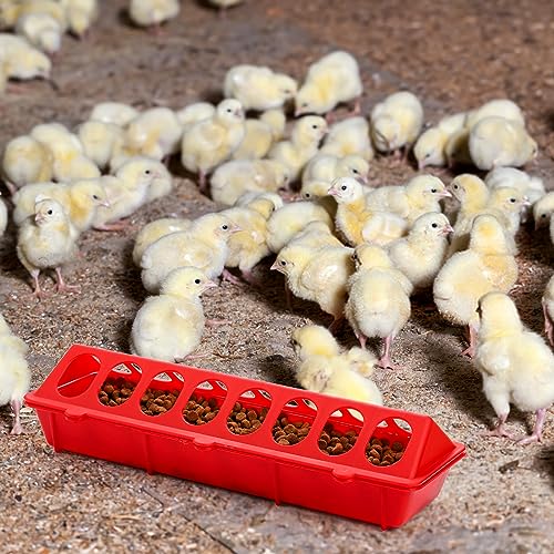 Coloch 6 Pack Flip Top Poultry Feeder, Plastic Chicken Feeder Trough Multi-Hole Poultry Feeding Tray No Mess No Waste Chick Feeding Dispenser for Pigeon, Quails, Duckling Birds, Duck, Chicken