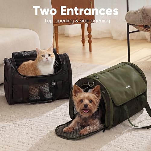 FUKUMARU Cat Carrier Soft, Ultra Lightweight Airline Approved Dog Carrier | Kitten Carrier with Anti-Scratch Mesh, Breathable Small Dog Carrier Bag, Collapsible Pet Carrier for Cats Under 15 lb, Green - color: Green