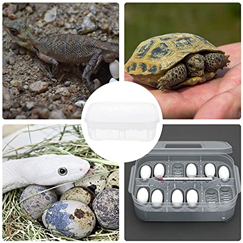 Still Awake Reptile Egg Incubator Professional Hatcher Hatching Box Case Tray Plastic Breeding Incubator for Hatching Snake,Lizards, Reptiles,Gecko(12 Slots with Thermometer)