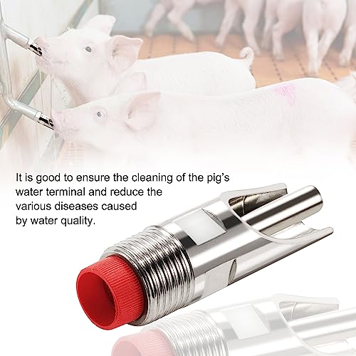 Jardin 2Pcs Stainless Steel Pig Water Nipple with 4/5" Thread, Automatic Pig Nipple Drinker Feeder Waterer Red Cap Feeding Watering Set Pig Home Farm Drinking Supplies