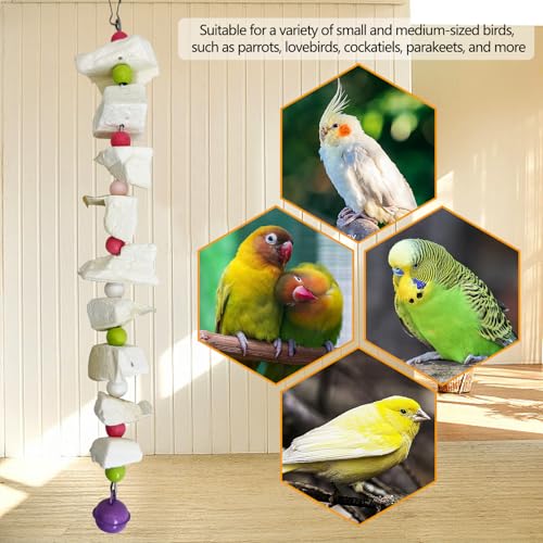 PINVNBY 2 Pack Bird Toys with Cuttlebone Calcium Parakeet Chewing Toy Hanging Bird Beak Grinding Stone Cage Accessories for Parrot Budgie Lovebird Cockatiel (Small) - size: Blocky