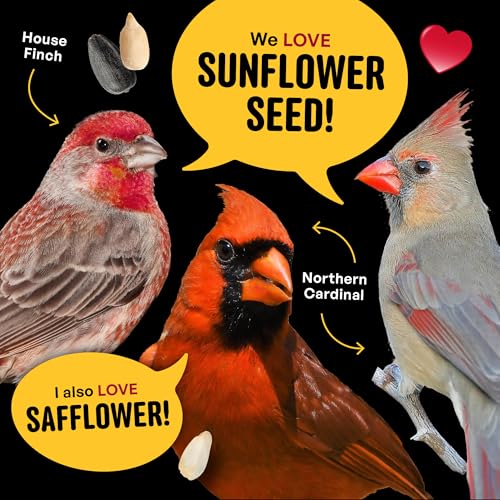 Cool Birds Cardinal & Crew Wild Bird Seed, 10 lb | Black Oil Sunflower, Sunflower Hearts & Safflower Blend for Cardinals, Grosbeaks & Chickadees – Bird Food for Outside Feeders