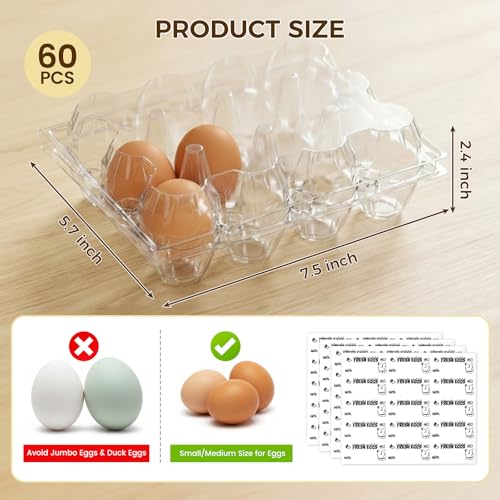 HAKSEN 60 PCS 12 Count Plastic Egg Cartons with Date Labels, Clear | Reusable Egg Containers Holds for Fresh, Medium Eggs Storage, Suitable for Farms, Family, Markets Display