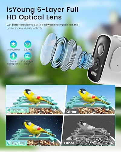 Smart Bird Feeder Camera (Dual Panel), Solar Powered, Identify 11,000+ Birds with AI, Auto Capture & Notify, 2K HD Footage, Outdoor Bird Watching, Ideal Gift for Birds Lovers. - color: Forest green