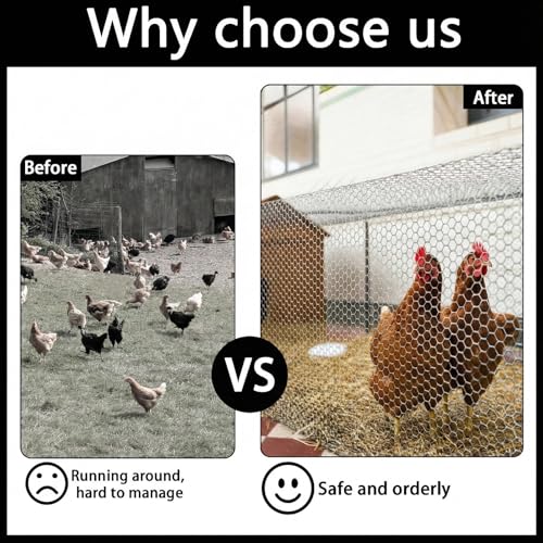 Plastic Chicken Wire Fencing 15.7INx66FT,Plastic Fence Wire,Pet Proof Barrier Net,Poultry Garden Netting,Poultry Netting, Mesh Fencing,Balcony Netting for Rabbits,Frame Crafts,Flower Netting,White - color: White, size: 15.7INx66FT