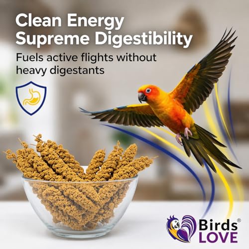 Birds LOVE® Millet Tips & Tails for Birds – Premium Spray Millet Treat, Grown in the USA – Natural & Healthy Bird Food for Parakeets, Cockatiels, Budgies, Lovebirds, Finches, Canaries & Parrots – 1 lb