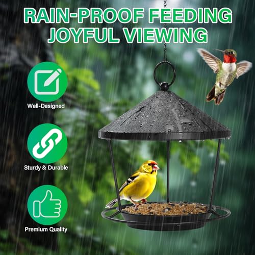 DoReFaSolWild Bird Feeders Hanging Balcony Bird Feeder Hanging Bird Bath | Bird Feeder for Outdoor Hanging Bird Bath and Feeder with Chain and Hook Hanging Bird Feeder with Roof Bird Feeder For Patio - size: M
