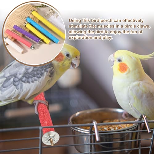 Bird Cage Perch, Colorful Parrot Grinding Claw Sticks, Platform Paw Stand Toy 8/10 Inch, (Wooden, Purple, 2Pcs), Intended for Small Medium Birds/Parrots/Finches/Lovebird - color: Purple, size: 8/10 Inch
