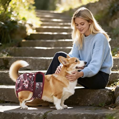 Washable Reusable Female Dog Diapers(5 Pack) Small Medium Large Doggie Puppy & Doggy Dog Diaper, Period Panties in Heat Medium Butterflies and Dragonflies - color: Butterflies & Dragonflies, size: Medium