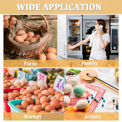 60 Pack Plastic Egg Cartons 12 Count, Clear Egg Cartons Cheap Bulk | Reusable Egg Holder for Family, Pasture, Farm Markets Display - Medium Egg Containers 3x4 Grids - style: 3x4Grids-60count