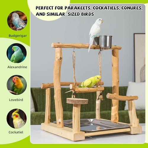 Natural Solid Wood Parrot Perch with Tray, Budgerigar Stand for Play, Rough Texture Bird Playground, High Hardness Nature Perch