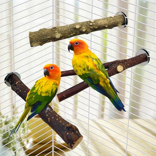 BNOSDM 5PCS Bird Perches Stand with Mirror Parrot Wood Stick Perches | Natural Forked Perch Branch Parakeet Toy Set Bird Cage Accessories for Budgie Cockatiel Conure Finch Lovebird
