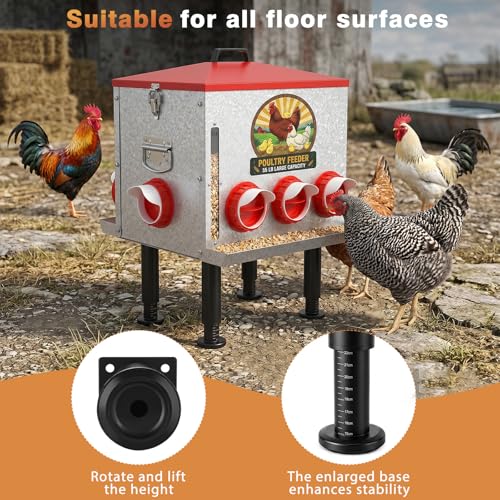 55LB Large Automatic Chicken Feeder with View Window & No-Waste Food Tray | 8 Feeding Ports Galvanized Steel Raised Chicken Feeder with Waterproof Locking Lid & Height Adjustable Stand for Ducks, Geese
