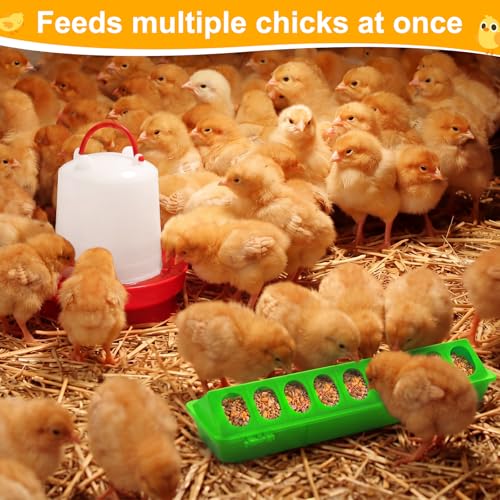 Funnymoom 12 Pack Chicken Feeder and Waterer Set Bird Small Poultry Feeder Flip Top Bird Small Poultry Feeding for Pigeon Chick Drinker Duckling Quail Feeding Dispenser(Green,8 Holes) - color: Green, style: 8 Holes
