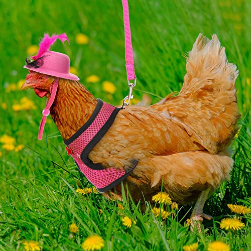 Zhanmai 9 Pcs Chicken Harness and Leash for Hens Funny Chicken Accessories with Leash and Hats for Hens Duck Goose Parrot Small Pet Harness Adjustable Training Walking Supplies(S) - size: S