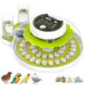 40 Quail Egg Incubator with Automatic Egg Turning Humidity Control Eggs | Large Capacity Quail Brooder Poultry Incubators, Also for Parrot, Dove, Canary and Other Birds - color: Green