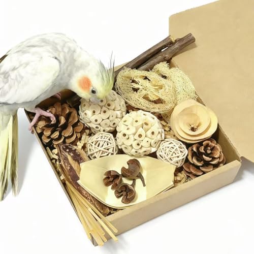 Bird Toys - Sola Ball Foraging Box, 10 Natural Ingredients | Chewing and Shredding Parrot Toys | Ideal for Parakeets/Cockatiels/Conures/Lovebirds and Small to Medium Birds - size: Sola Ball Foraging Box