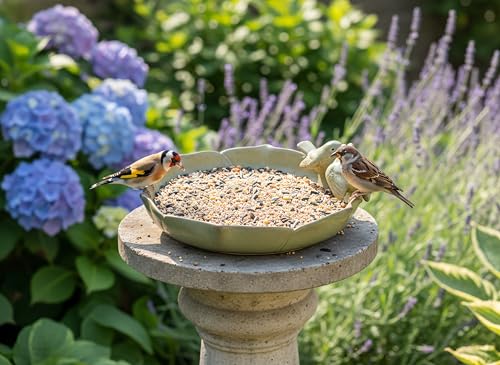 Large Ceramic Bird Bath Bowl Only, 10" Shallow Ground Bird Bath, Handmade Ceramic Birdbath Bowl for Outdoors, Wildlife Water Bowl for Outside, Garden, Tabletop, Balcony and Lawn - size: Shallow 9.8x3