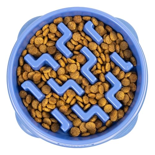 Outward Hound Fun Feeder Slo Bowl – Medium 2‑Cup Capacity, Slow Feeding, Small to Medium Dogs & Cats, Non-Slip, Blue, Notch Pattern - color: Blue, size: Medium