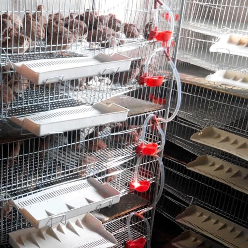 12Pcs Quail Water Cups Pigeon Automatic Bird Waterer for Cage Hang Drinker Breeding Poultry Drinking Bowls(Red) - color: Red