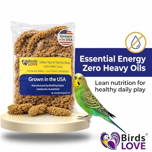 Birds LOVE® Millet Tips & Tails for Birds – Premium Spray Millet Treat, Grown in the USA – Natural & Healthy Bird Food for Parakeets, Cockatiels, Budgies, Lovebirds, Finches, Canaries & Parrots – 1 lb