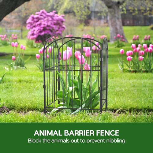 Goovilla Garden Fence, Total 10ft(L) x 24in(H), 10 Pcs, Rustproof Metal | Garden Fencing Animal Barrier, Fence Panels,Black No Dig Fence,Decorative Garden Fences and Borders for Dogs,Flower Bed,Patio - size: Arched