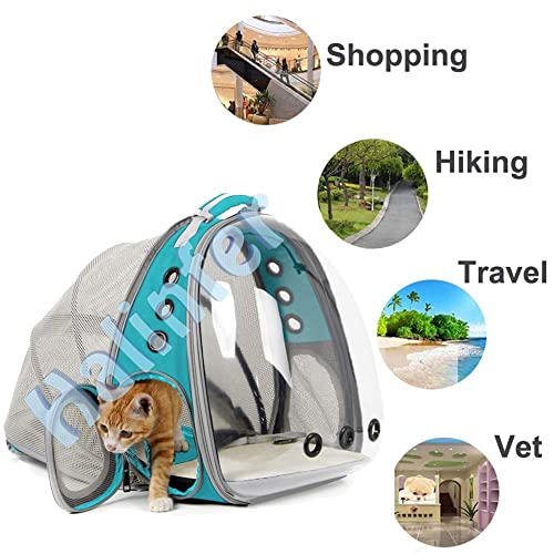 Back Expandable Cat Backpack Carrier, Fit up to 12 lbs, Space Capsule Bubble Window Pet Carrier Backpack for Cat and Small Puppy - color: Green
