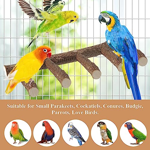 Parrot Wood Stand, Parrots Perch for Cage, Natural Bird Ladder | for Small Medium Parrot, Parakeets, Cockatiels, Conures, Hamster(12.2 inch)
