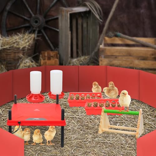 Chick Brooder Box Small Animal Playpen Chick Starter Kit Brooding Playpen with Chicks Heating Plate Perch Feeder Waterer for Duck and Quail Chicken Supplies