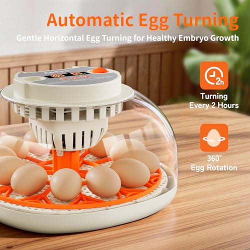 APDOE Egg Incubators for Hatching Eggs, Temperature and Humidity Control, Automatic Egg Turning, Egg Candler, External Water Bottle, Air Vent, for Chicken, Duck & Quail Eggs, 12 Eggs - color: Orange, size: 12 Eggs
