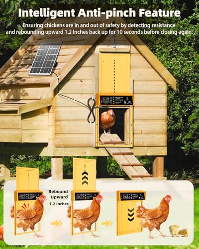 Automatic Chicken Coop Door Solar Powered, Pet Deluxe Chicken Door with Programmable Timer & Light Sensor, Anti-Pinch Safety, 7W Solar Panel, Aluminum Alloy with 10 Wire Clips Solar Chicken Door-Gold - color: Gold