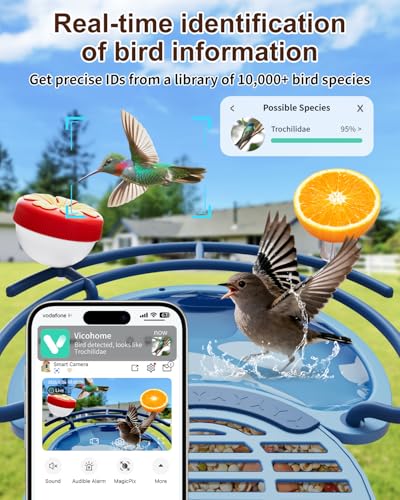 Bird Feeder with Camera, AI Recognition, Bird Bath, Solar Powered | Capture stunning 2K video, enjoy solar charging, bird bath design, night vision, smart app alerts and motion detection. - color: Blue, size: With BirdBath