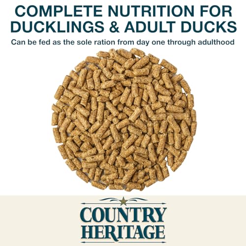 Country Heritage Duck Feed – Pellets for All Life Stages (19% Protein with Prebiotics & Probiotics, Do Not Float) (5 Pounds) - size: 5 Pound (Pack of 1), style: Duck Feed Pellets (All Life Stages)