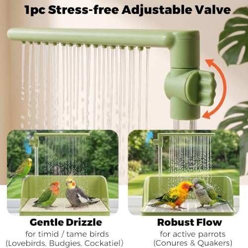 Automatic Parakeet Bird Bath with Pump & Control Valve for Tame Birds | Large Bird Shower Fountain Indoor Bathtub, Parrot Bath Tub Faucet for Pet Birds, Cockatiel, African Grey, Conure, Lovebird - color: Green with Control Valve